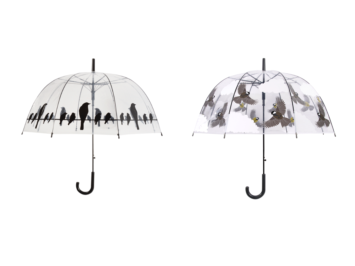 in de buurt opschorten Vaak gesproken Paraplu transparant met vogelmotief | Concordia Shop